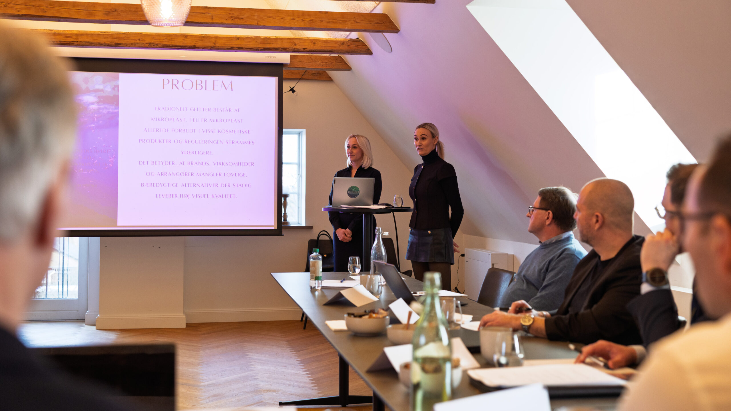 ecosparkles startupboost